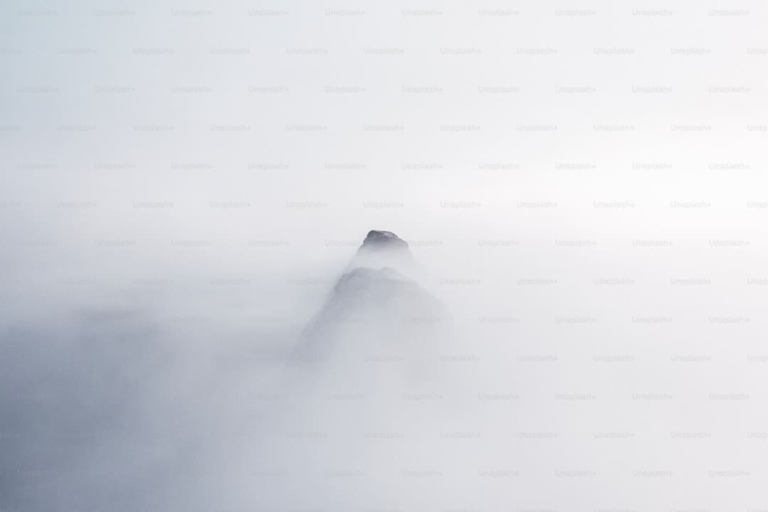 漳浦开渔 千帆竞发赴蓝海